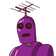 guest