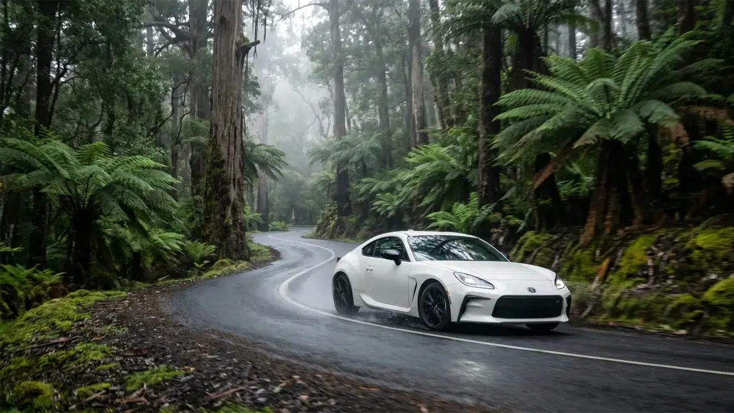 White Toyota GR86 driving through a wet, winding road in a misty Tasmanian rainforest with moss-covered tree ferns and towering eucalyptus trees