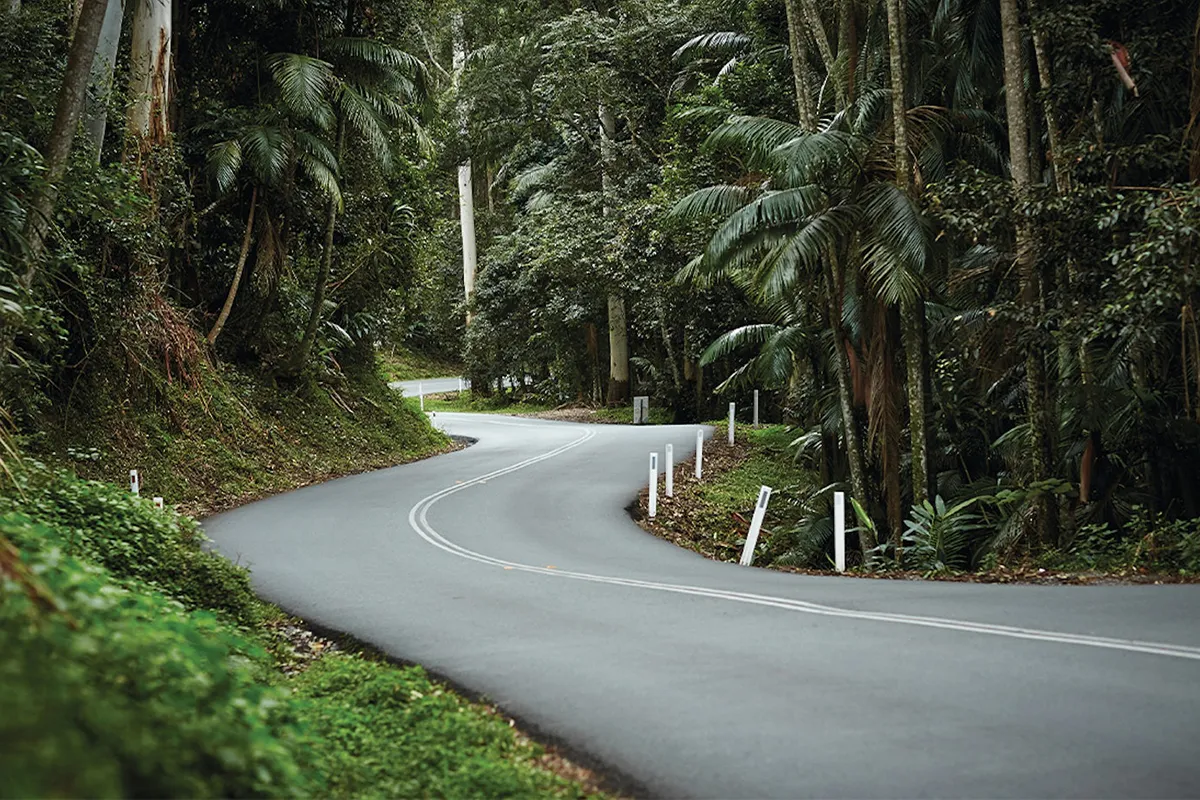Winding road through D'Aguilar Range rainforest near Brisbane