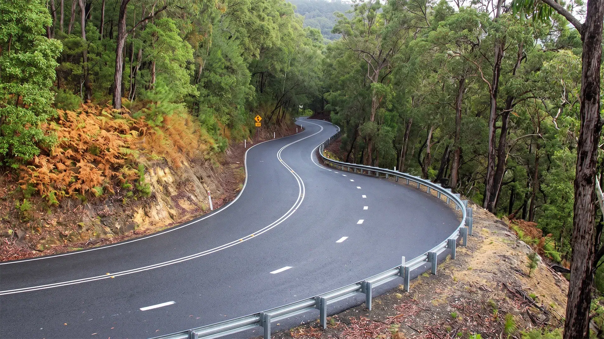 Empty sealed S-bend curving downhill through forest with guardrail and double white centre lines