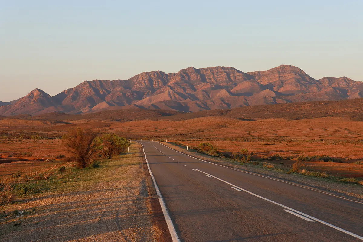 Sealed road running toward the Flinders Ranges at sunset with red earth and saltbush on either side