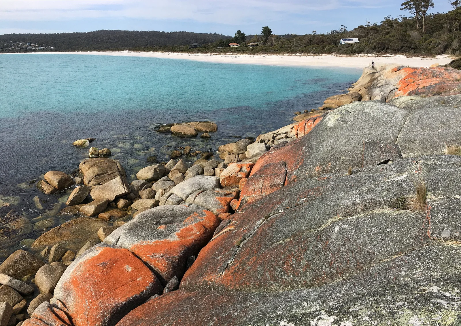 Orange lichen on granite rocks above the clear water and white beach of Binalong Bay at the Bay of Fires