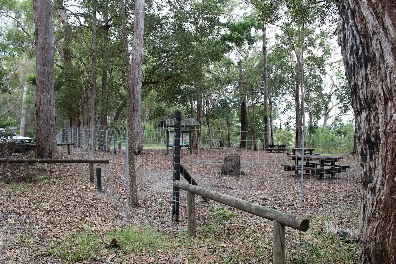 Dingo-deterrent fence and gate around a fenced camping and picnic area under forest on K'gari