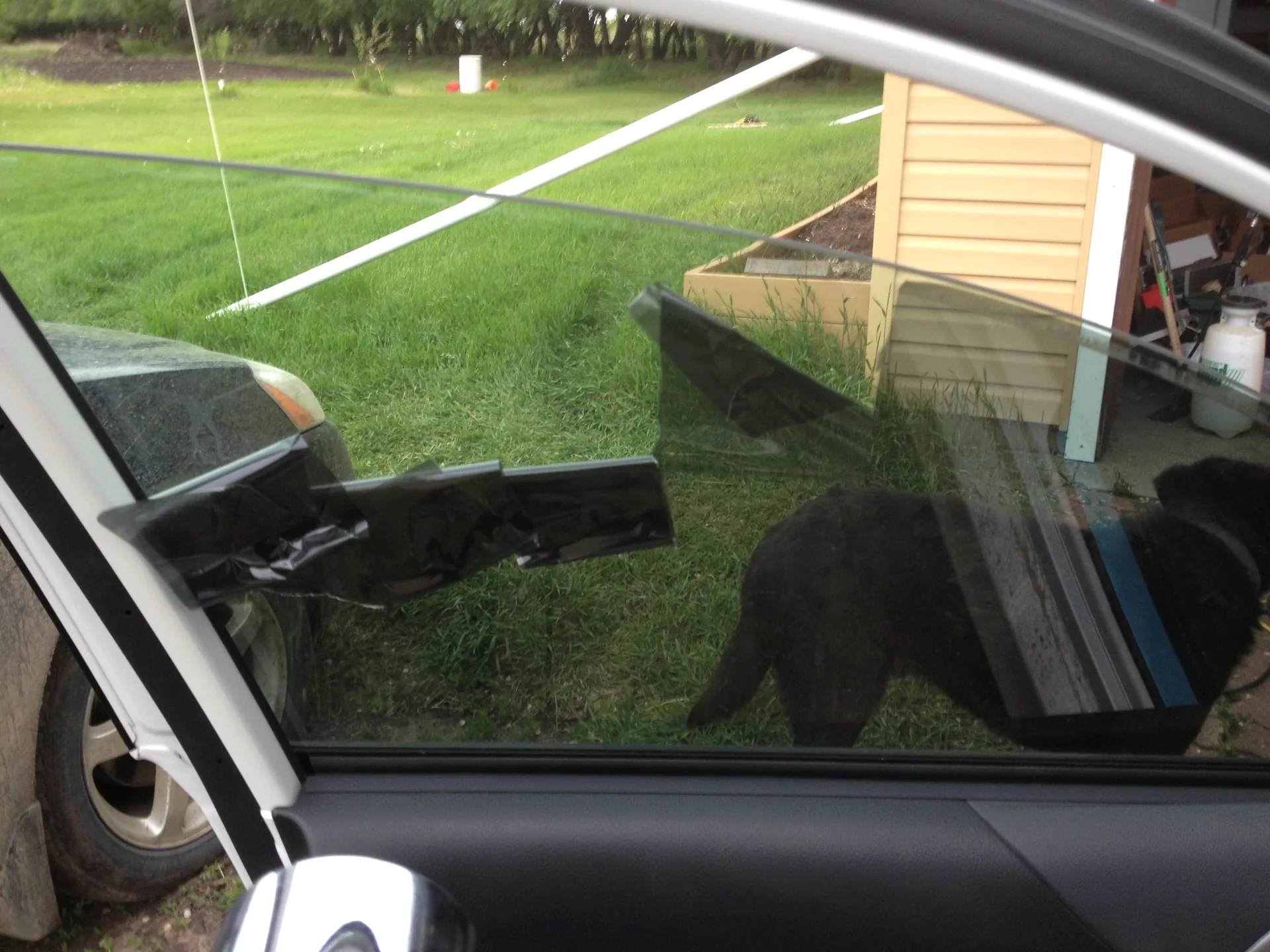 Dark tint film being peeled off a car's front side window to leave clear glass underneath