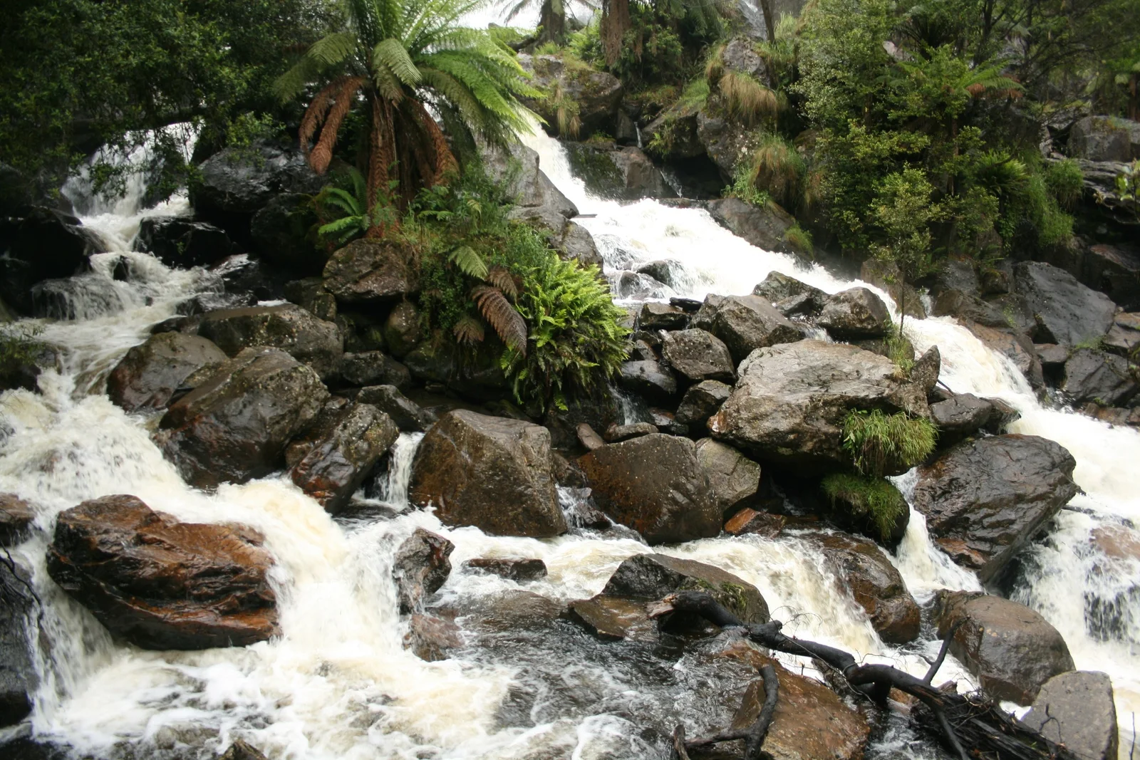 Water cascading over mossy boulders at St Columba Falls near Pyengana, inland from St Helens, Tasmania