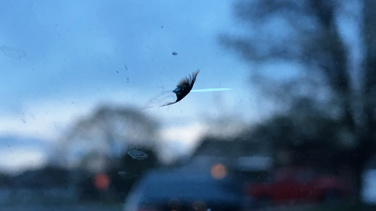 Star-shaped stone chip with short crack legs in a car windscreen, traffic blurred behind the glass