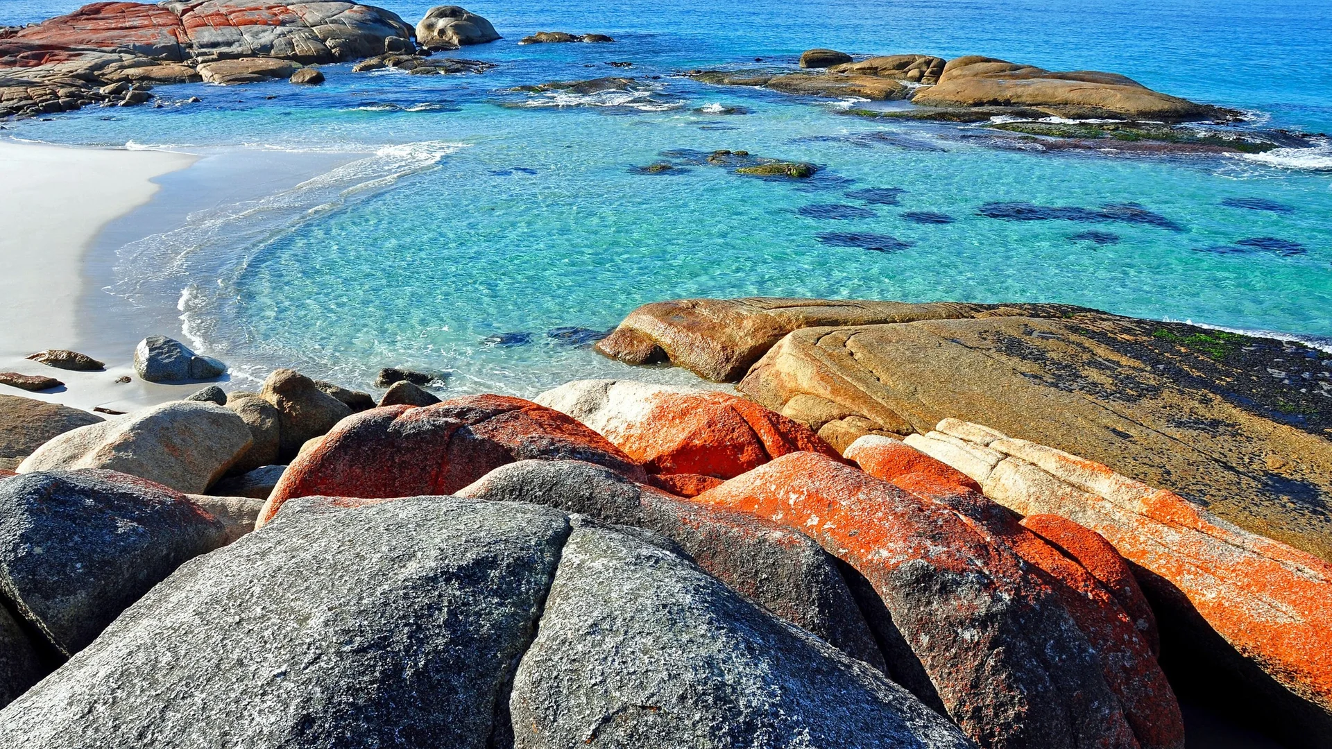 Bay of Fires, Tasmania east coast Orange lichen-covered granite boulders beside clear turquoise water and white sand at the Bay of Fires, Tasmania