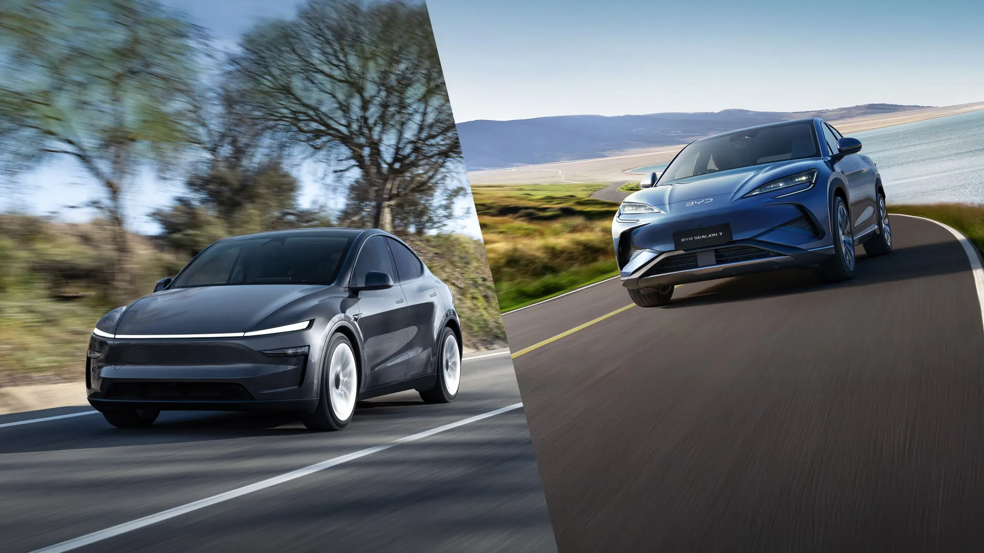 Tesla Model Y vs BYD Sealion 7 Grey Tesla Model Y on a tree-lined road and blue BYD Sealion 7 on a coastal road, split diagonally